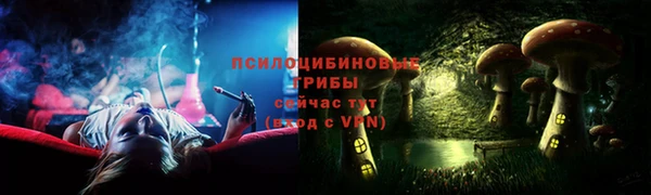 PSILOCYBIN Алексин
