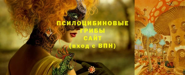 а пвп мука Алзамай
