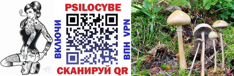 Галлюциногенные грибы Psilocybine cubensis  Новоузенск 